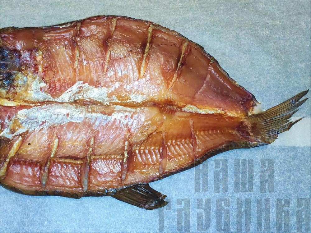 Толстолбик балык