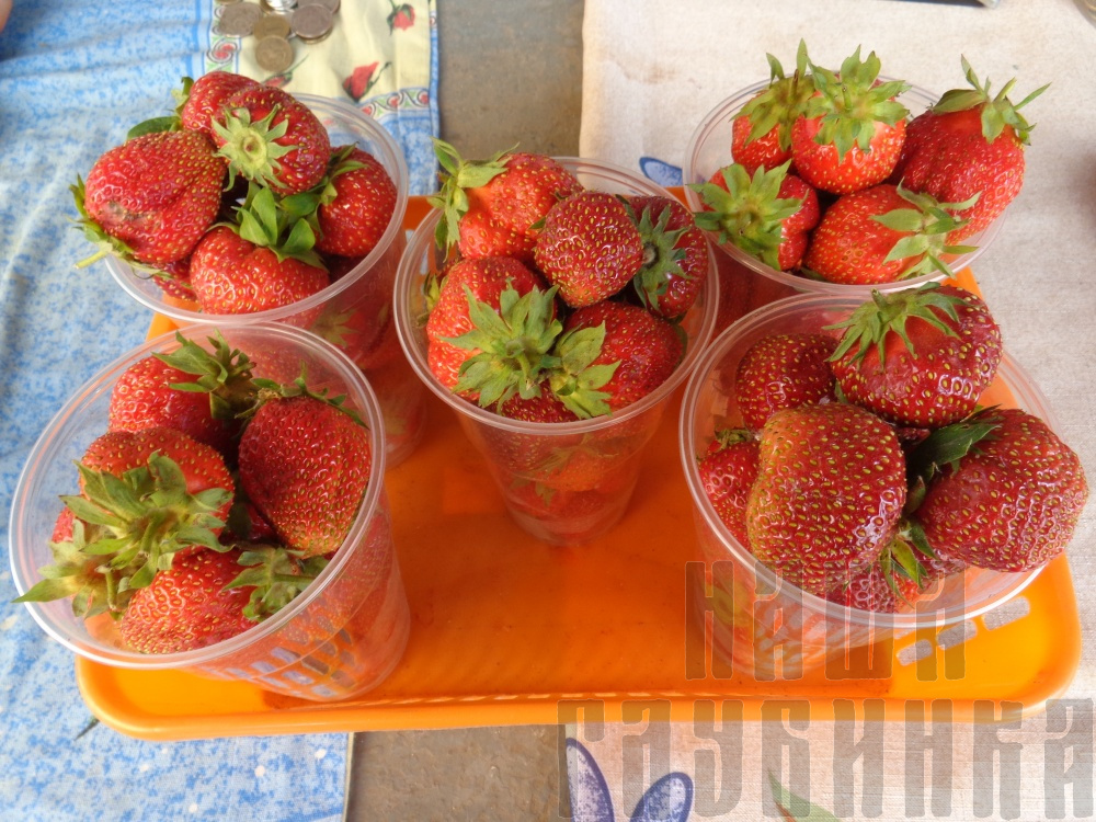 Клубника свежая купить в Москве ягоды в розницу