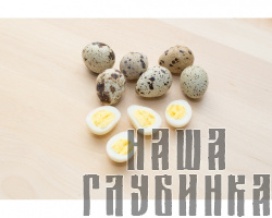 Яйца перепелиные