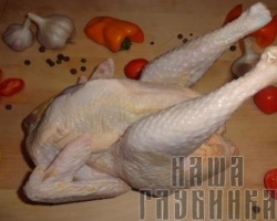 Курица домашняя суповая