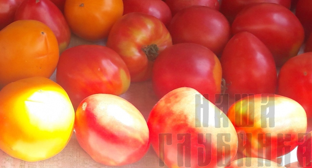 Купить помидоры в Москве, вкусные, свежие. Недорогая цена грунтовых домашних помидоров с доставкой на дом.