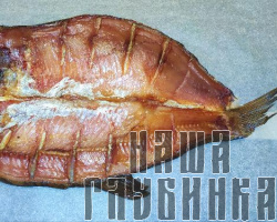 Толстолбик балык