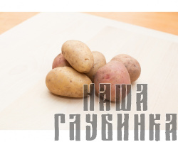 Картофель